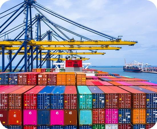 App Development Mississauga